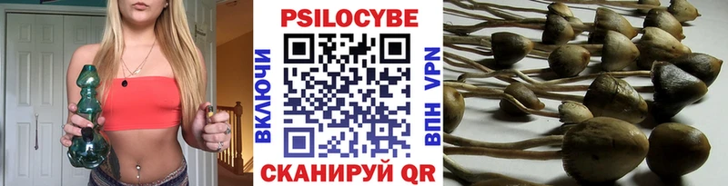 Псилоцибиновые грибы прущие грибы Фокино